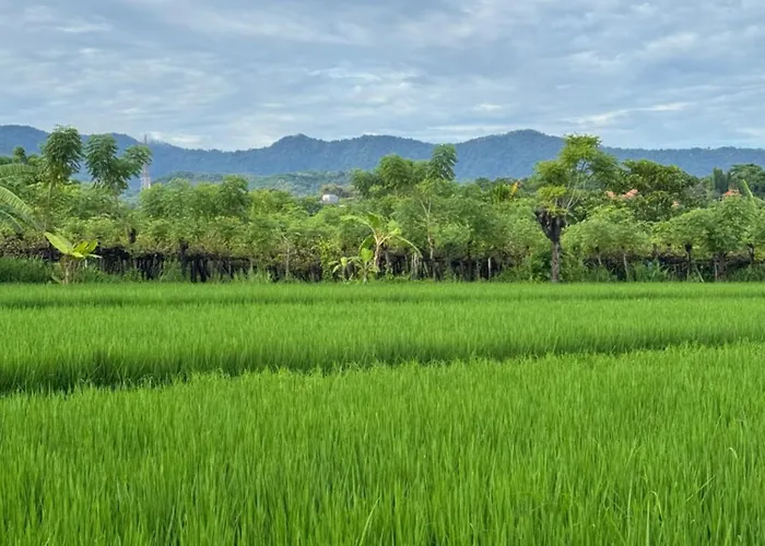 Lokasea Bali * Pengastulan